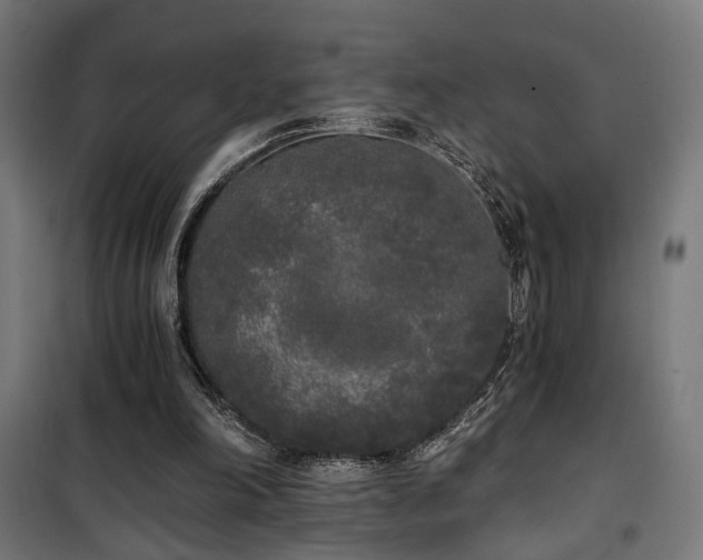 X0000101460198200807071439