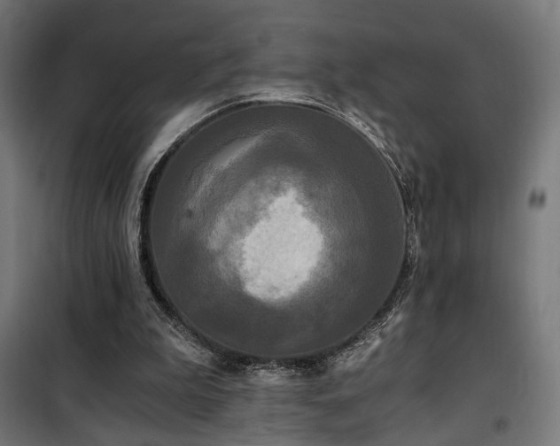 X0000101460199200807071439