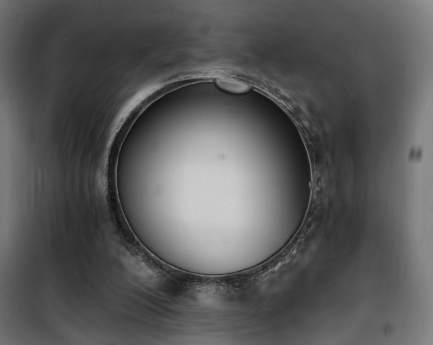 X0000101460200200807071439