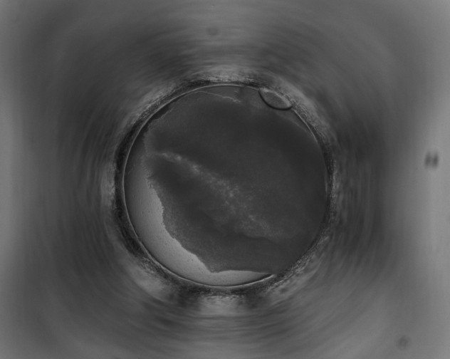 X0000101460202200807071439
