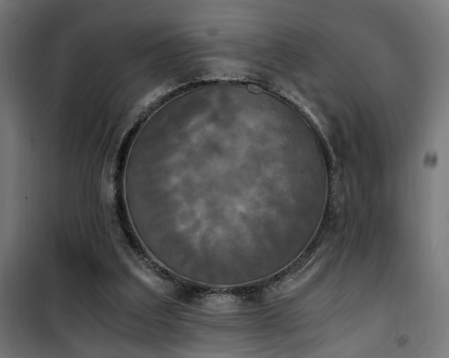 X0000101460203200807071439
