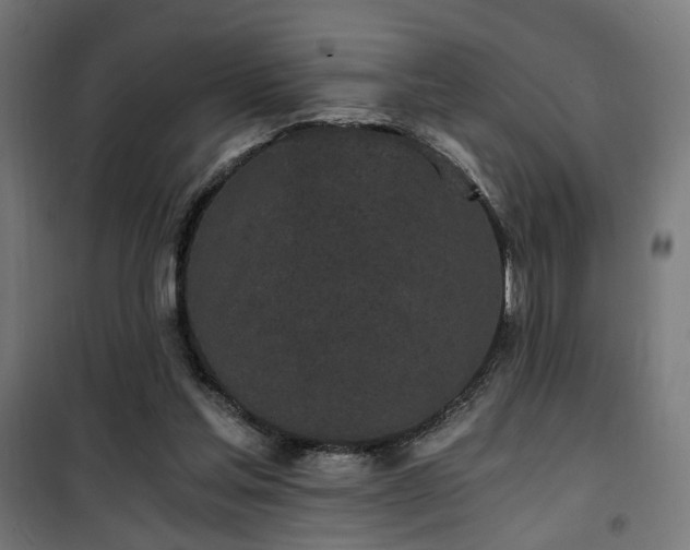 X0000101460205200807071438