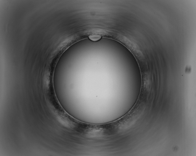 X0000101460206200807071438