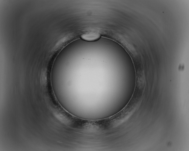 X0000101460207200807071438