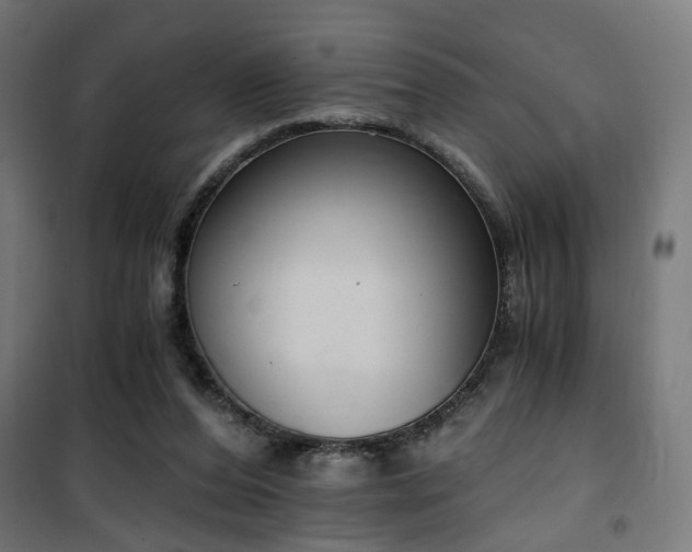 X0000101460208200807071438