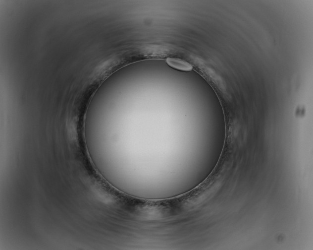 X0000101460209200807071438