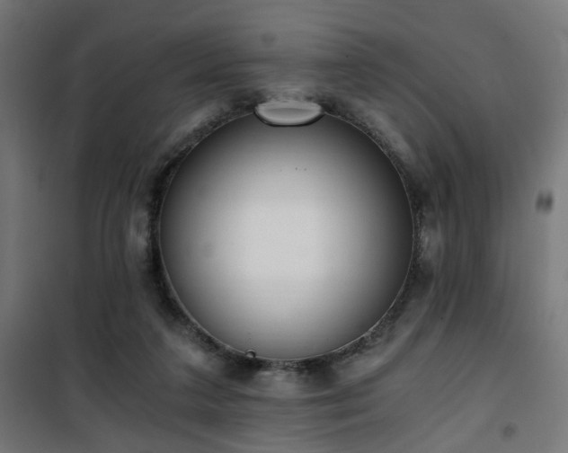 X0000101460211200807071438