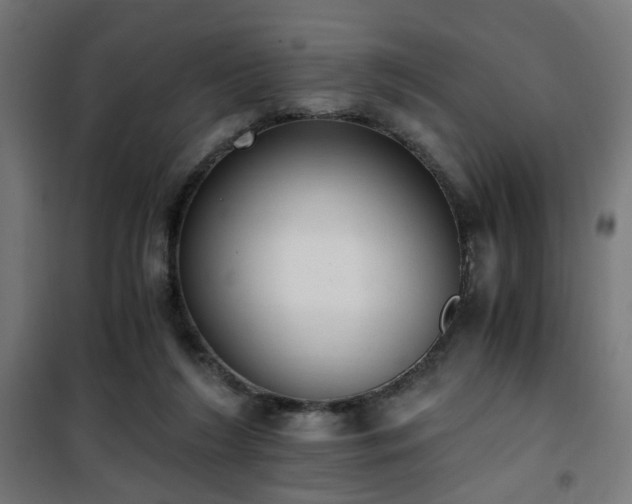 X0000101460212200807071438