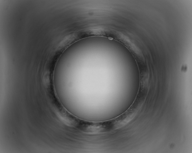 X0000101460213200807071438