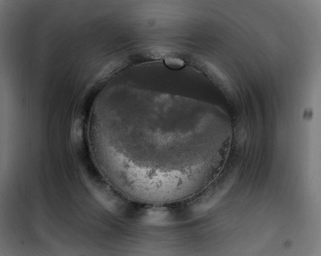 X0000101460214200807071438