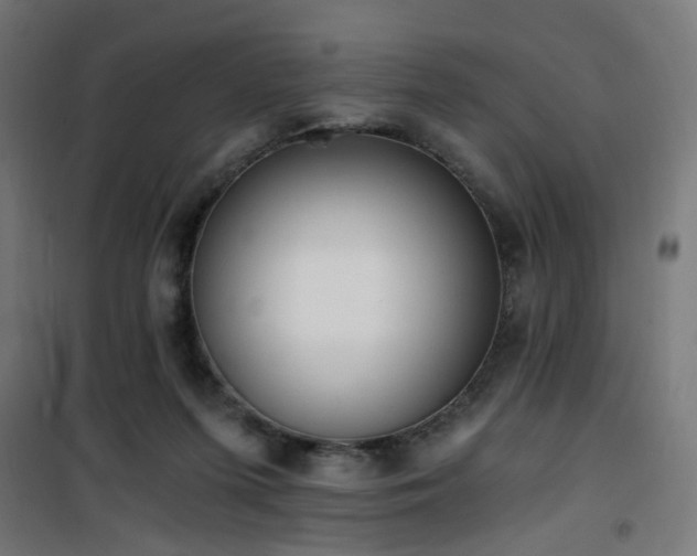 X0000101460215200807071438