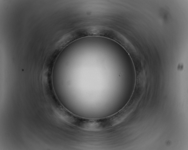 X0000101460217200807071438
