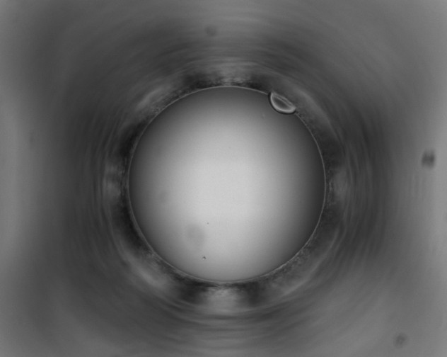 X0000101460218200807071438