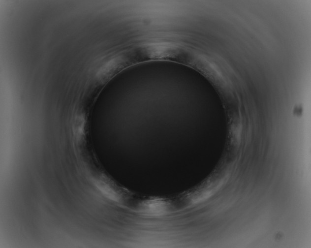 X0000101460219200807071438