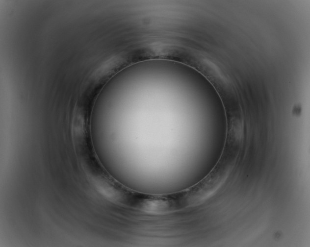 X0000101460220200807071438