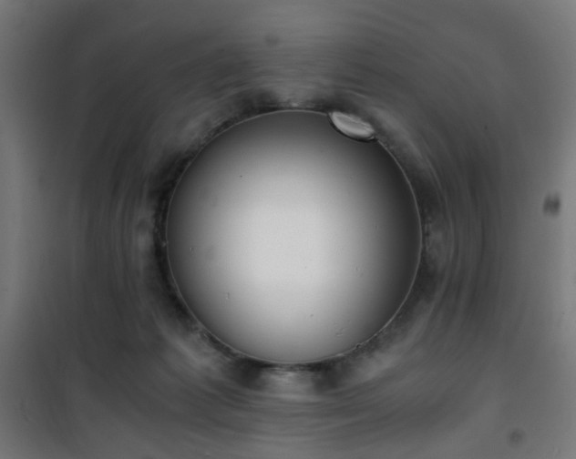 X0000101460221200807071438