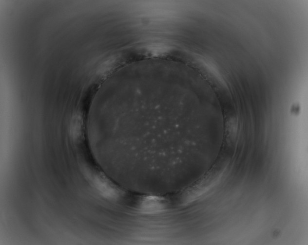 X0000101460222200807071438
