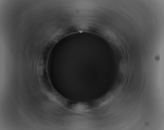 X0000101460223200807071438