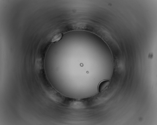 X0000101460224200807071438
