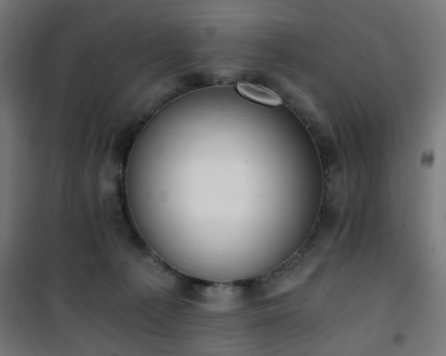 X0000101460225200807071438