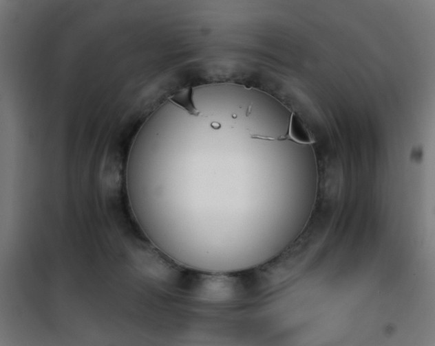 X0000101460226200807071438