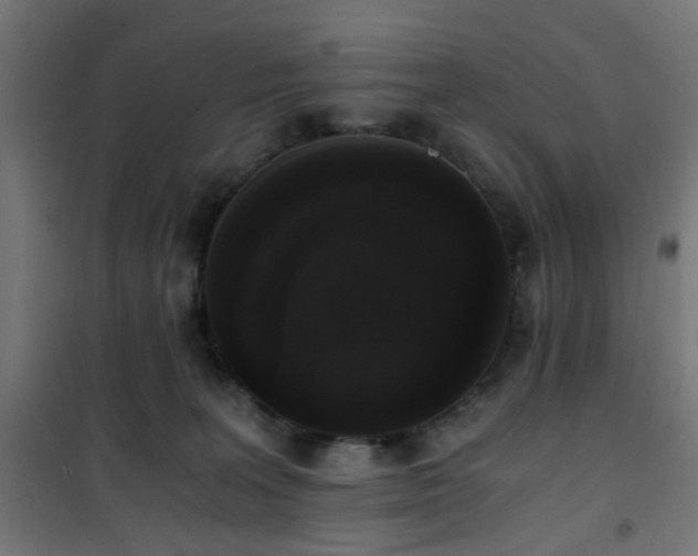 X0000101460227200807071438