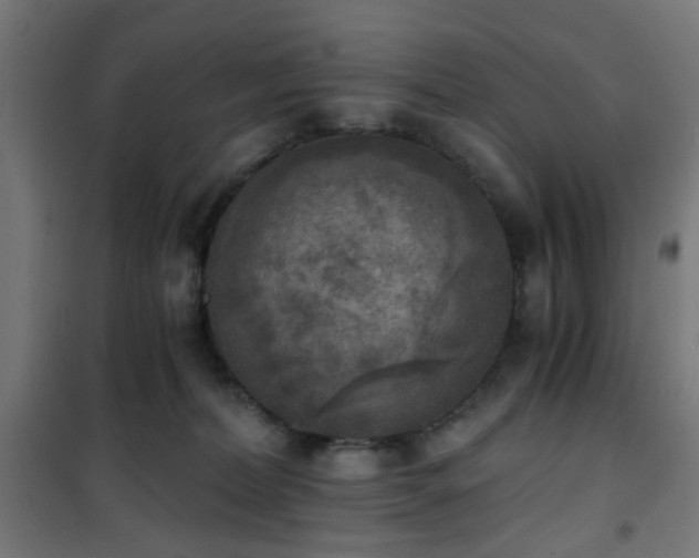 X0000101460228200807071438
