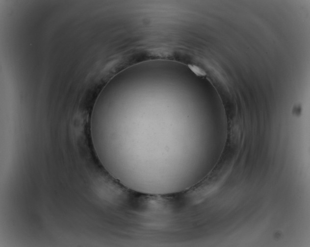 X0000101460229200807071438