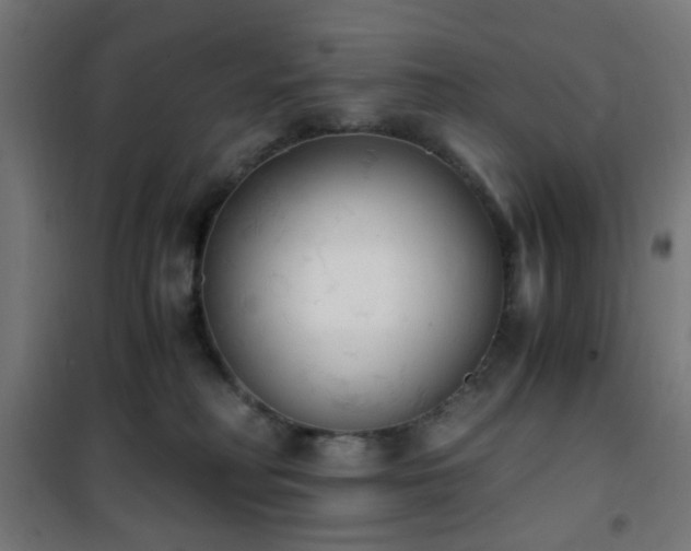 X0000101460230200807071438