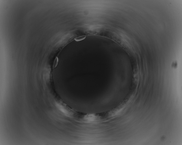 X0000101460231200807071438