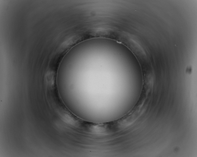 X0000101460232200807071438