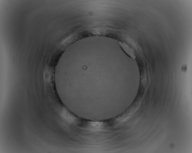 X0000101460233200807071438