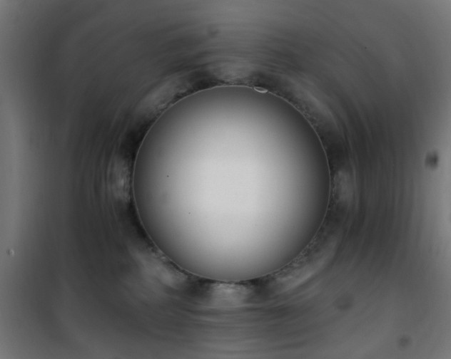 X0000101460234200807071438
