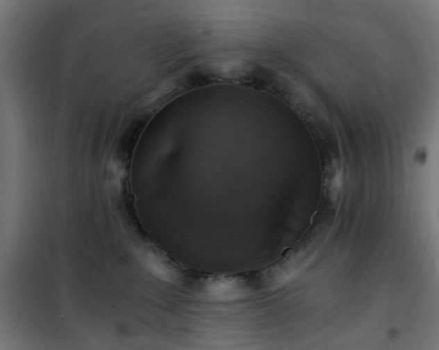X0000101460235200807071438