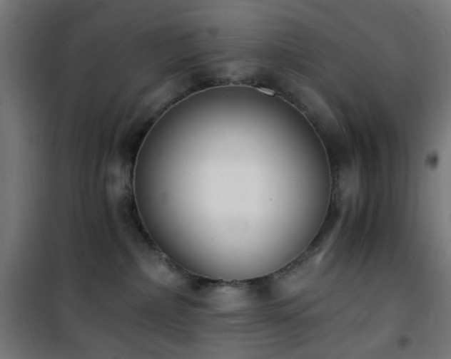 X0000101460236200807071438