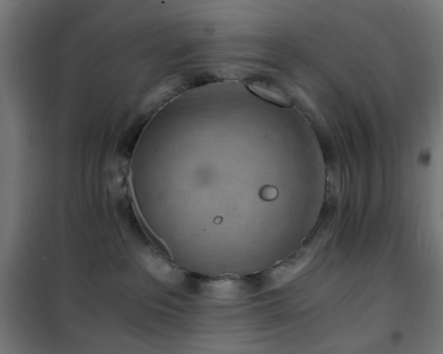 X0000101460237200807071438