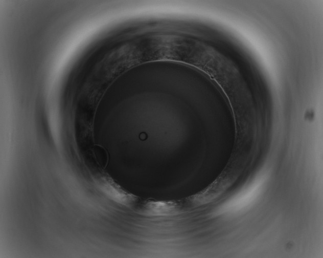 X0000101460239200807071438