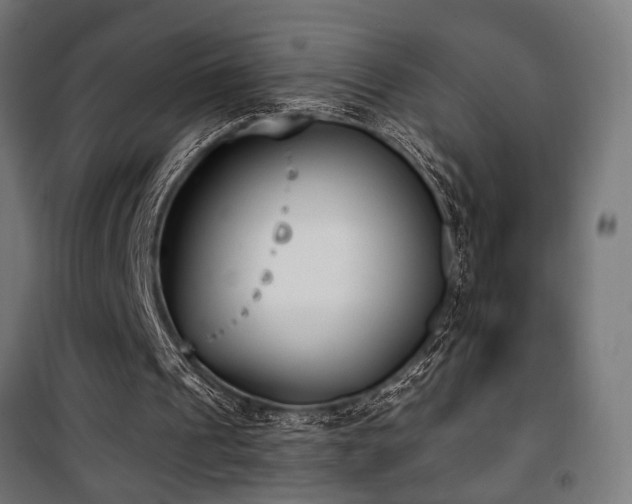 X0000101460241200807071437