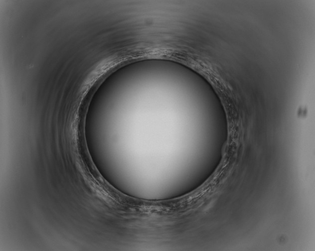 X0000101460242200807071437