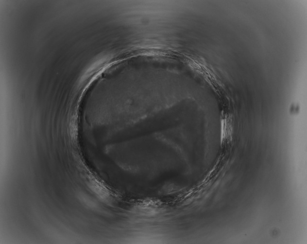 X0000101460243200807071437
