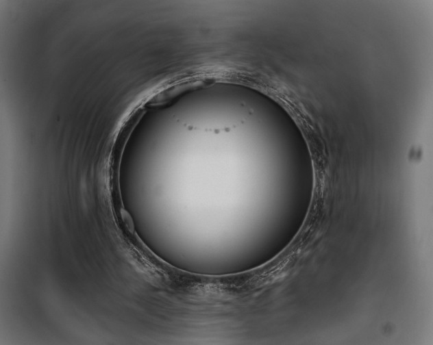 X0000101460244200807071437