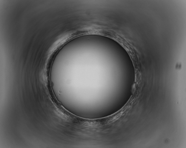 X0000101460245200807071437