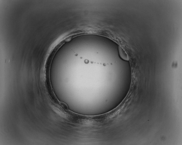 X0000101460246200807071437