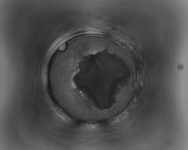 X0000101460247200807071437