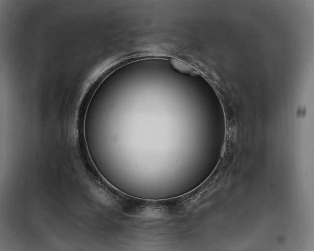 X0000101460248200807071437