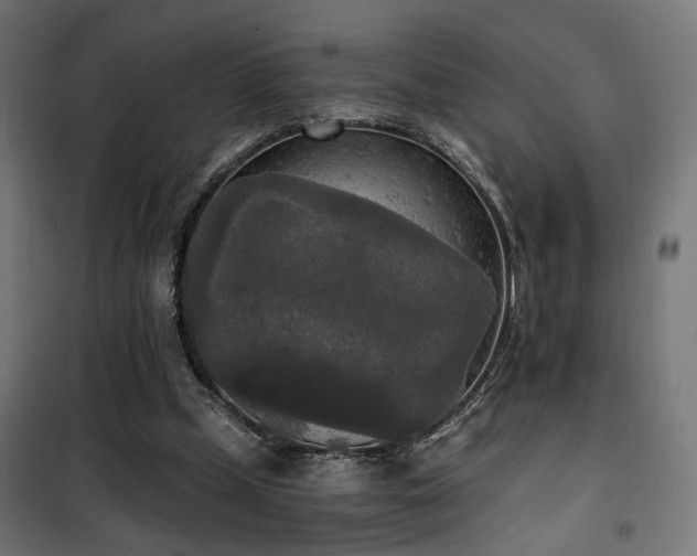 X0000101460249200807071437