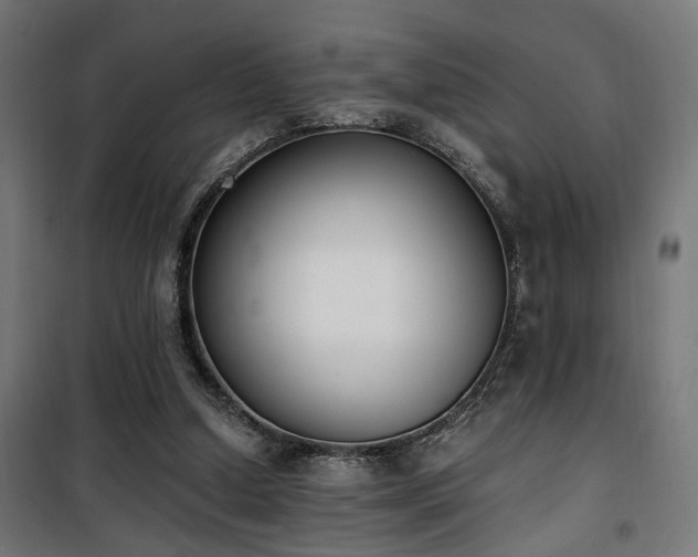 X0000101460250200807071437