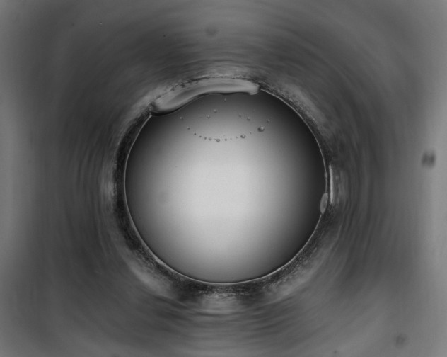 X0000101460252200807071437