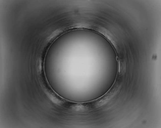 X0000101460253200807071437