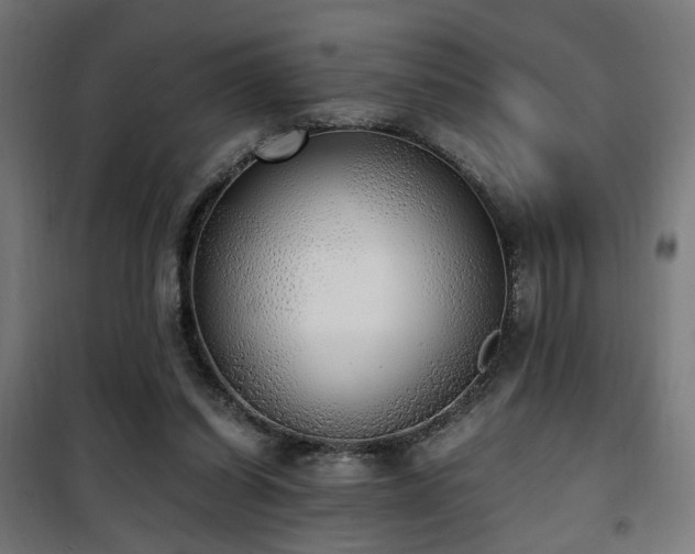 X0000101460254200807071437